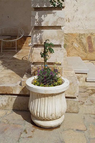 خرید و قیمت گلدان بتنی کد 139