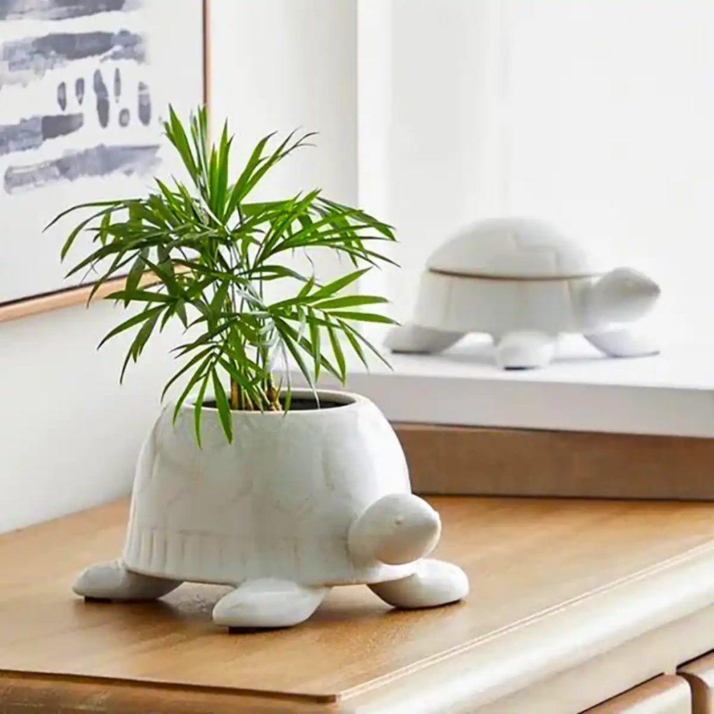 دکوراسیون داخلی گلدان سفالی فانتزی