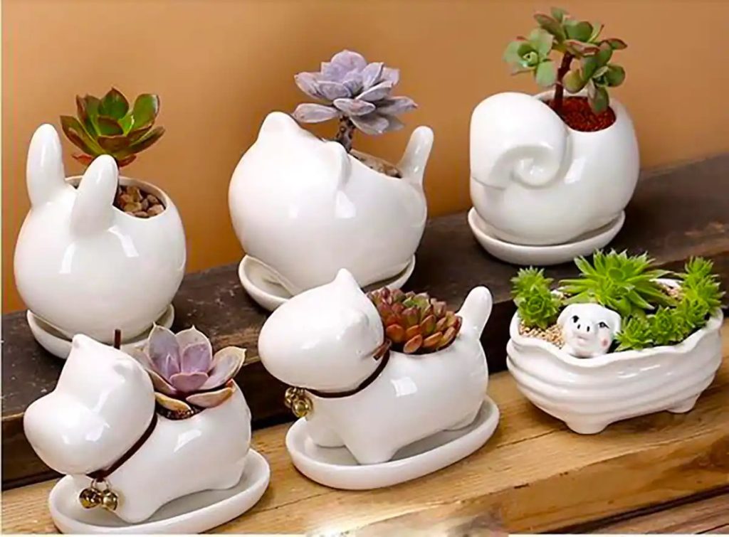 دکوراسیون داخلی گلدان سفالی فانتزی