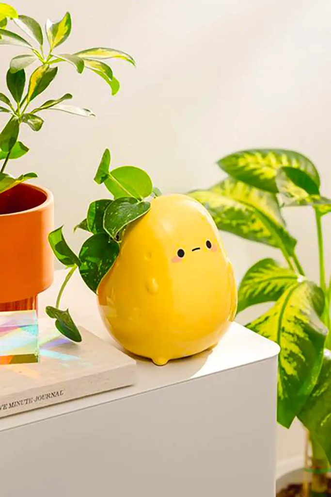 دکوراسیون داخلی گلدان سفالی فانتزی