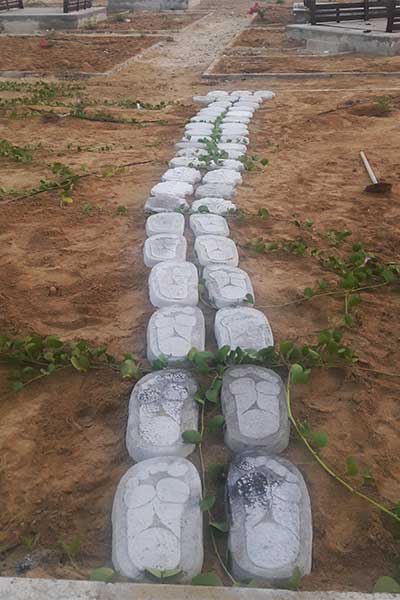 خرید و قیمت عدسی بتنی کد 903