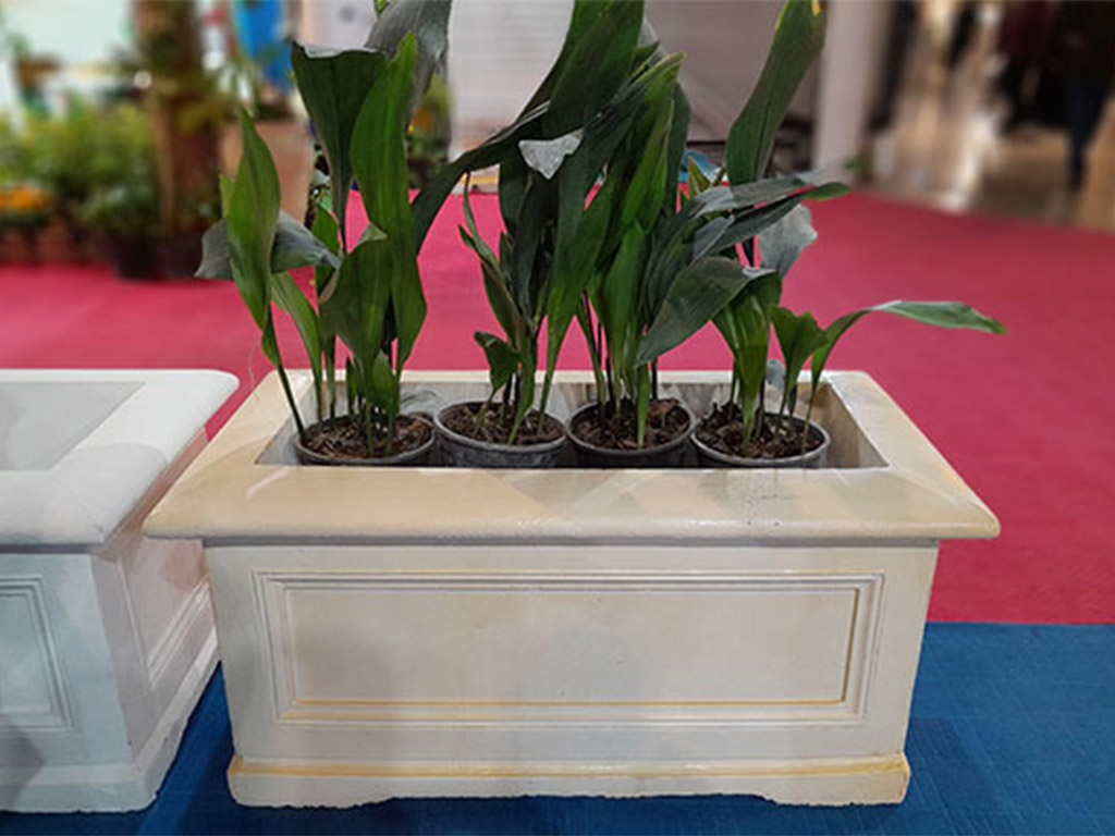 انواع گلدان بتنی