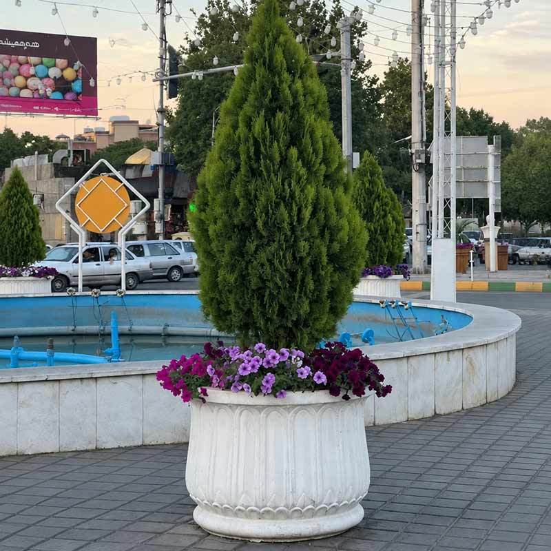 گلدان بتنی تخت جمشید کد : 137